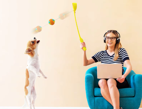 product-493-379 product-493-379